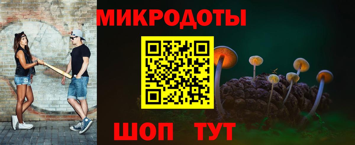 Псилоцибиновые грибы Psilocybe  Вход с VPN  Псилоцибиновые грибы Psilocybe  Майкоп 
